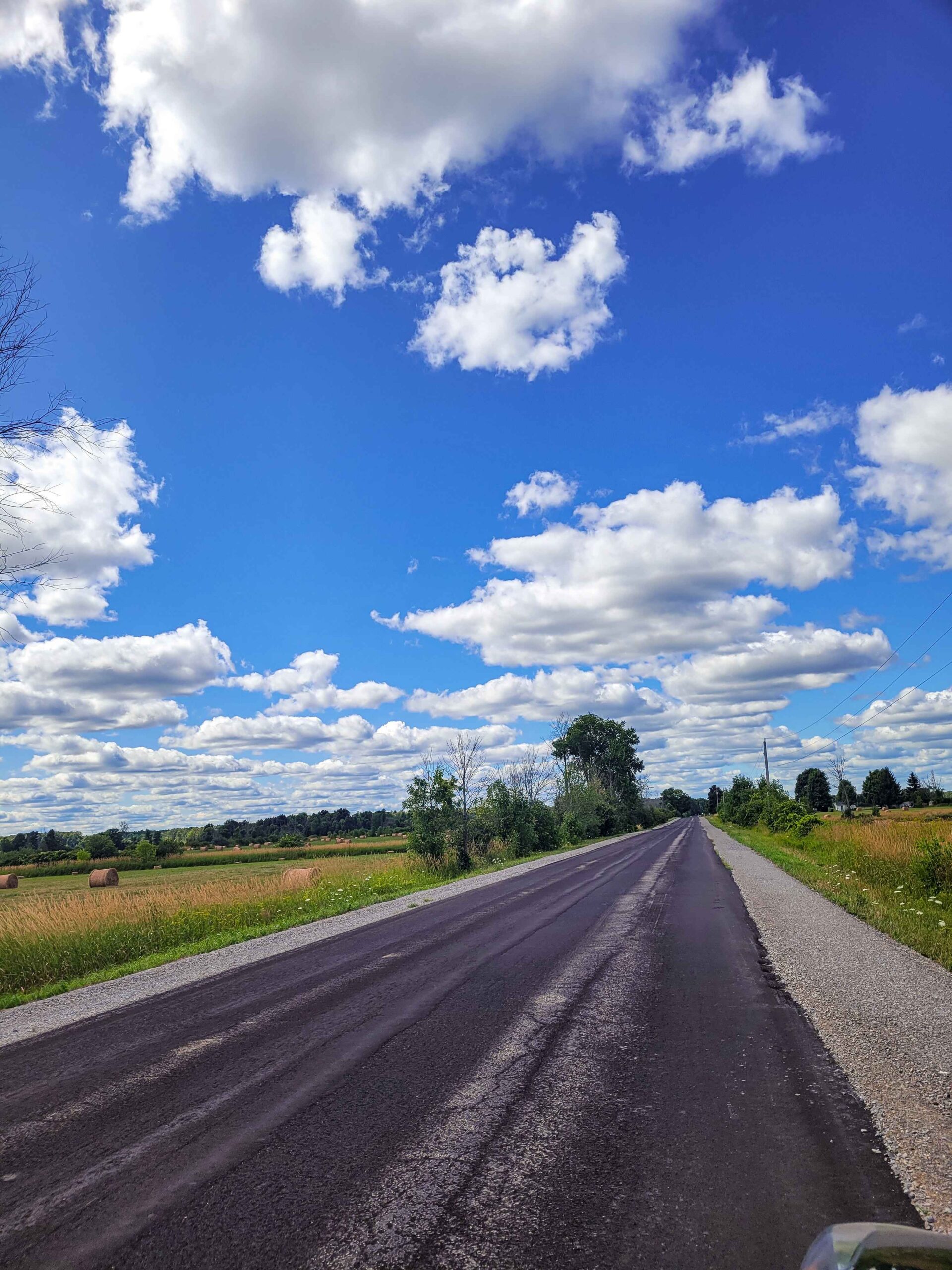 Looking down a country road