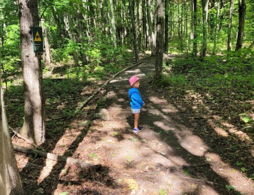 When Dad Visits: Finding a Happy Rhythm for Our Family