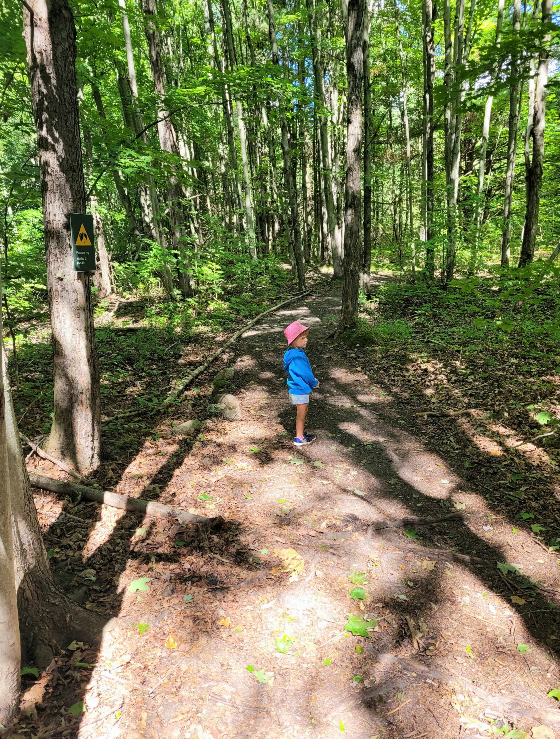 Young girl in a forest My daughter standing alone in a forest