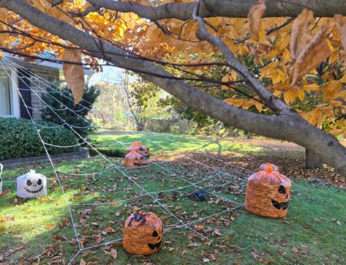 A Cozy Halloween at Home: Simple, Budget-Friendly Decorating Ideas