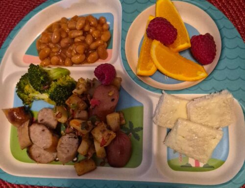 Maintaining Healthy Meals for Your Little One When They Favor Sweets