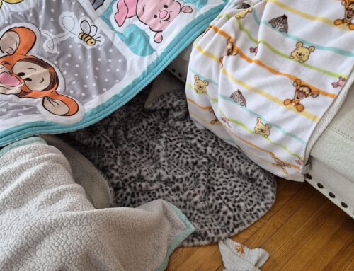 Fun Indoor Activities for Toddlers when it’s cold outside