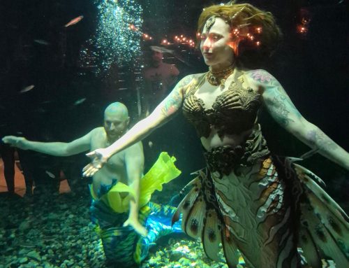 Blink and She’s Four: A Birthday Day Out in Brockville