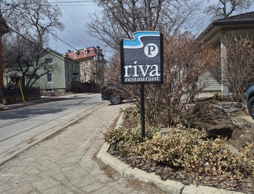 A Calm & Sentimental Birthday