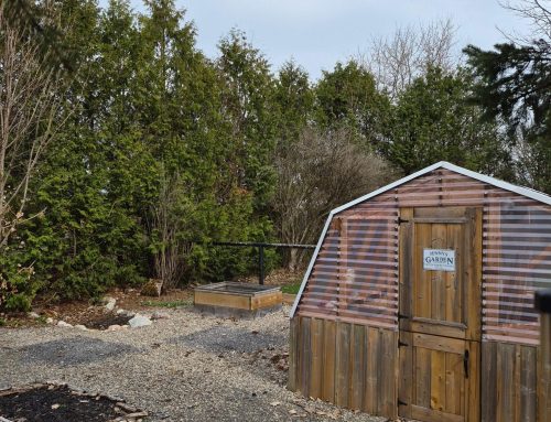 Our spring days in photos