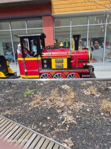 Tanger small train 