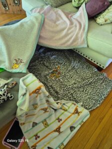 blanket fort
