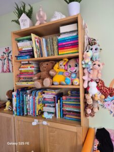 childrens bookcase