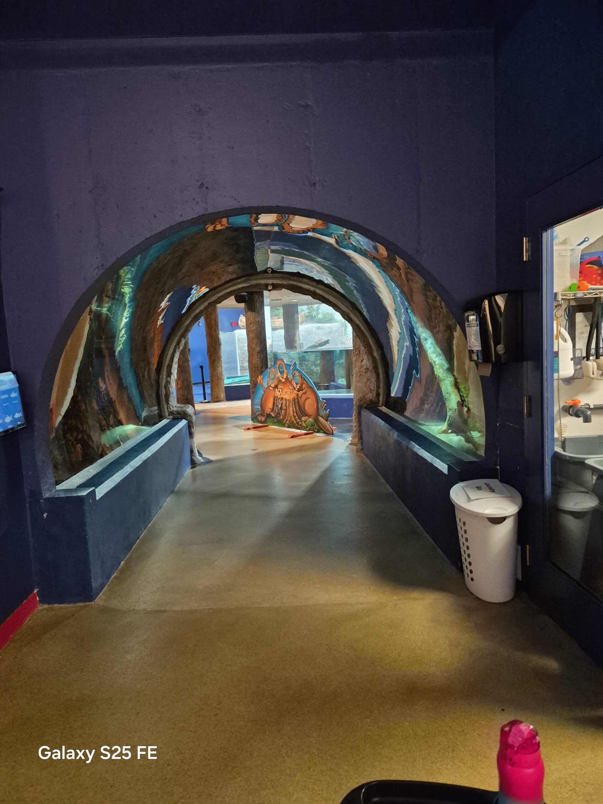 Aquatarium tunnel