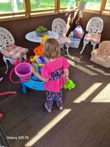 Gazebo playing