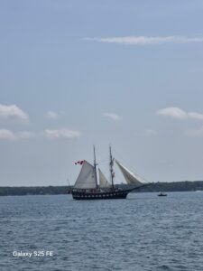 Canada Day 5