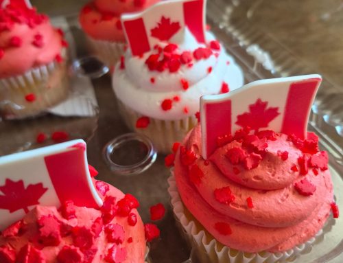 Celebrating Canada Day in Brockville: A Family Day at Hardy Park