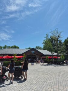 Marche restaurant