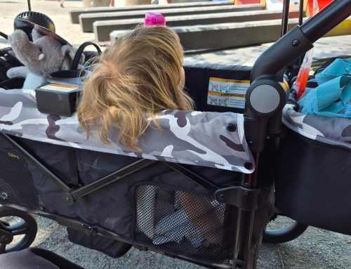 Our Family Road Trip to Granby Zoo: Is It Worth Visiting from Ontario?