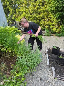 gardening