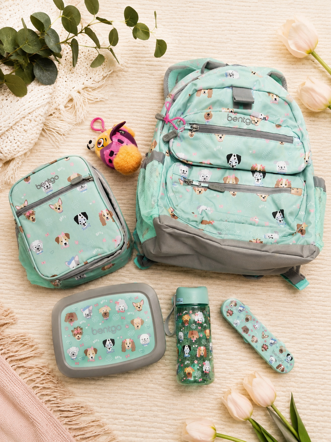 Kindergarten school items