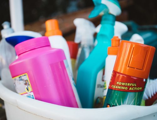 Fall Cleaning Routine for Busy Single Mums